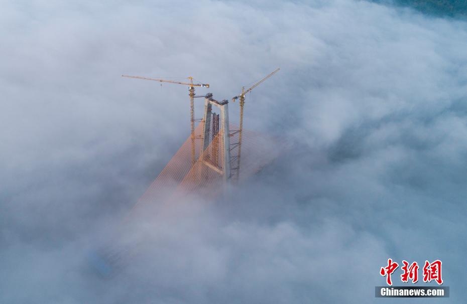 四強(qiáng)爭(zhēng)霸，突出重圍！盼盼食品祝阿根廷球隊(duì)殺入決賽！