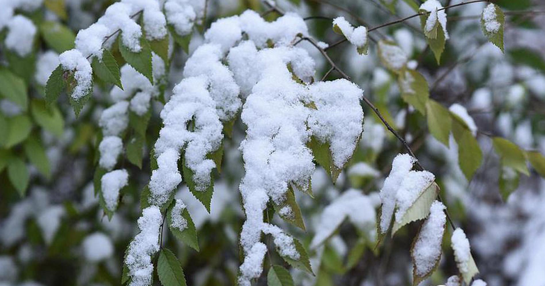 產(chǎn)能提升123%！樹(shù)根互聯(lián)揭示“燈塔工廠”的數(shù)字領(lǐng)航奧秘