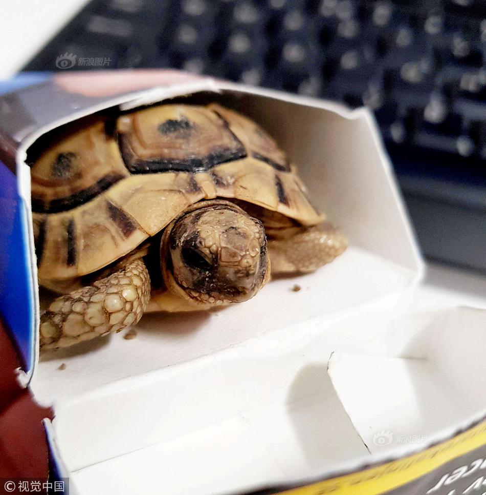 劍靈2手游日服敞開人物創(chuàng)立，處理創(chuàng)立加載慢登錄失利閃退等問題