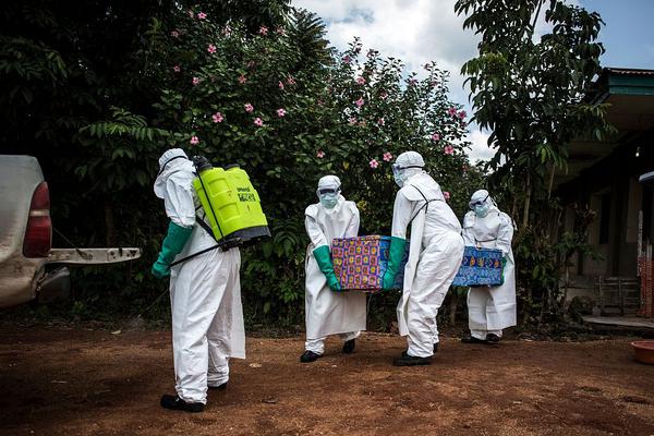 《新花千骨》新版本終極探秘 靈獸強(qiáng)勢(shì)出擊