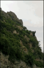 100%原生木漿：原木日記抽紙大促100抽僅1元