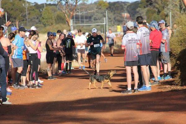 充溢藝術(shù)性的畫面的治好系手游引薦 顯示第九藝術(shù)
