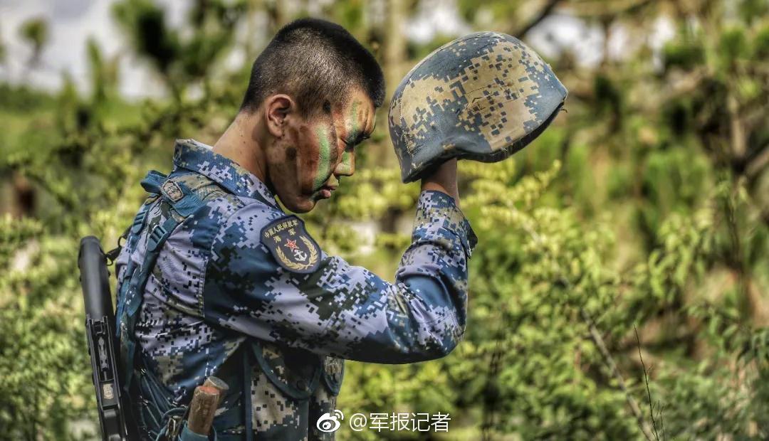 2023年好玩的貓貓闖關(guān)游戲引薦 控制小貓咪橫行無(wú)忌