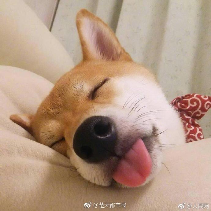 步行者勒維爾接受腎癌手術(shù)后有望在本賽季回歸