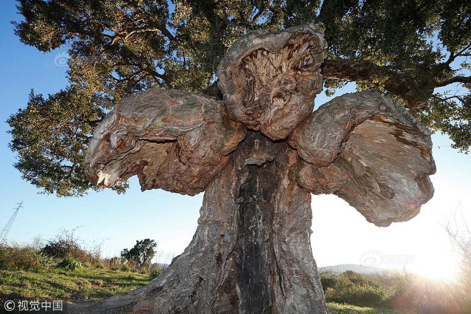 《神雕俠侶2》全新資料片“道羽黃裳”2月24日敞開 黃裳現(xiàn)身江湖