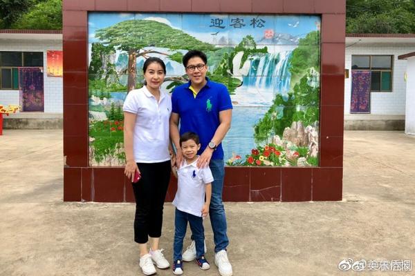 wlan autoconfig服務(wù)無法葉落歸根解決方法