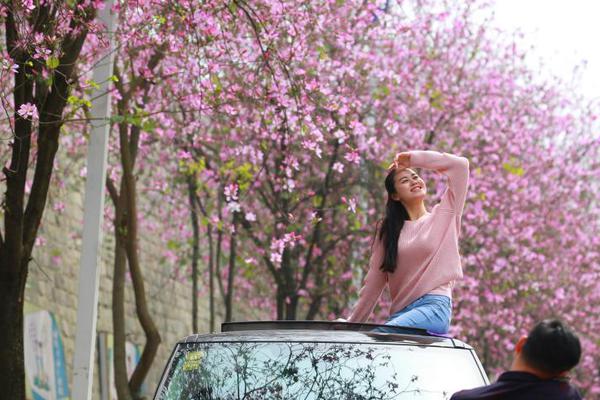 櫻花學(xué)校模擬器游戲合集引薦 不同玩法的櫻花學(xué)校