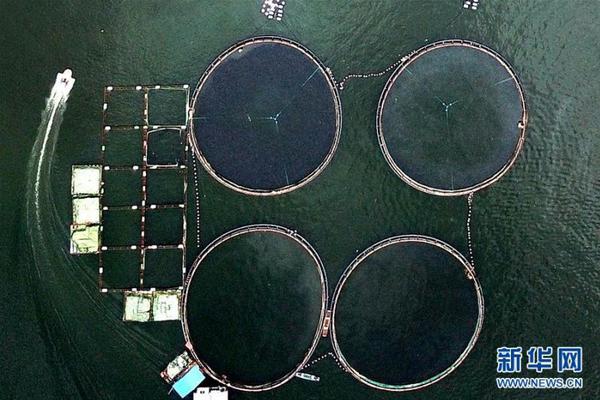 硬盤壞了怎樣康復數(shù)據(jù)