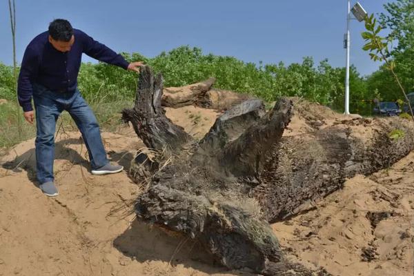 教我們菜鳥(niǎo)入門之安全技能學(xué)習(xí)方法