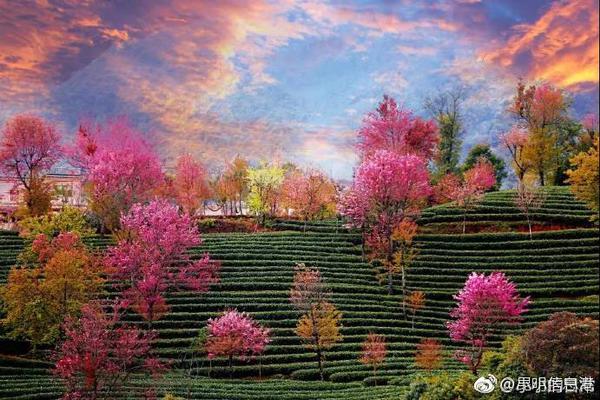 沃克：斯瑪特在防守端的表現(xiàn)很強(qiáng)