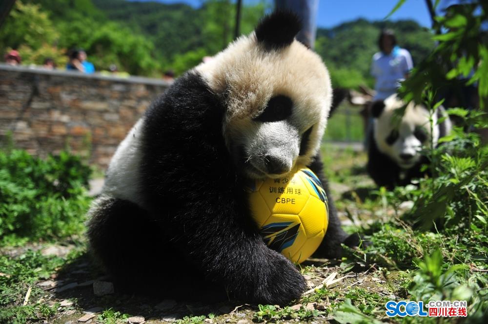 怎么合理設(shè)置用戶(hù)拜訪權(quán)限