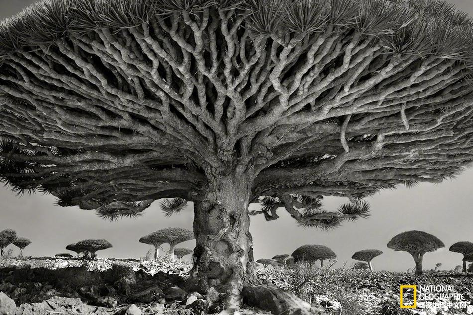 中超聯(lián)賽最新戰(zhàn)況：重慶2