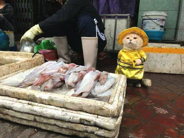 恩比德：我能摧毀對方的防線