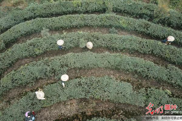 教你怎么躲藏QQ的IP地址