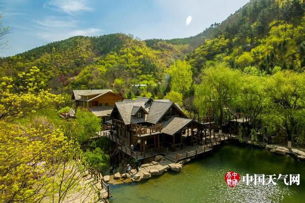 快船副總裁：關(guān)于威少和沃爾公正地來說 沒有兩個球員是特別的