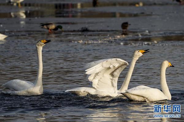 c7.c7.ccm登錄入口