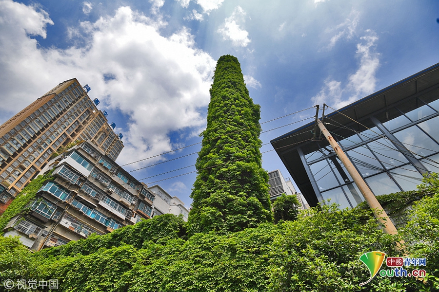 凱爾特人vs雄鹿 焦點(diǎn)對(duì)決 雄鹿三巨頭發(fā)力擊敗綠軍迎來二連勝