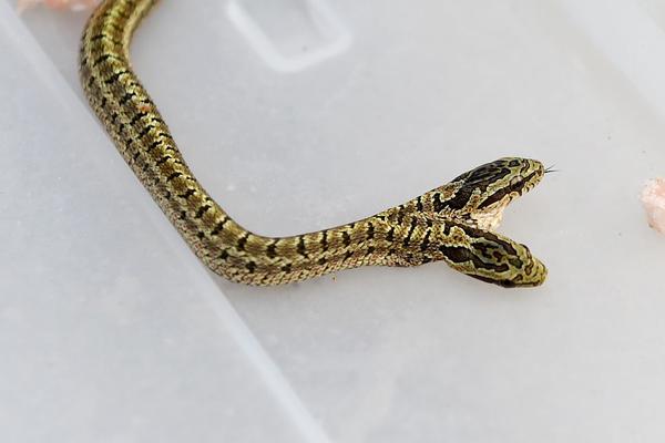 微軟：新的Office，新的能“自爆”的EMail