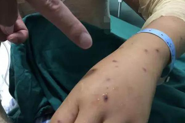 模擬經(jīng)營新作《夢幻足球經(jīng)理》登陸AppStore