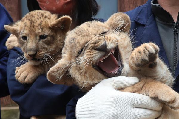 《推理學(xué)院》2023情人節(jié)征文：往事