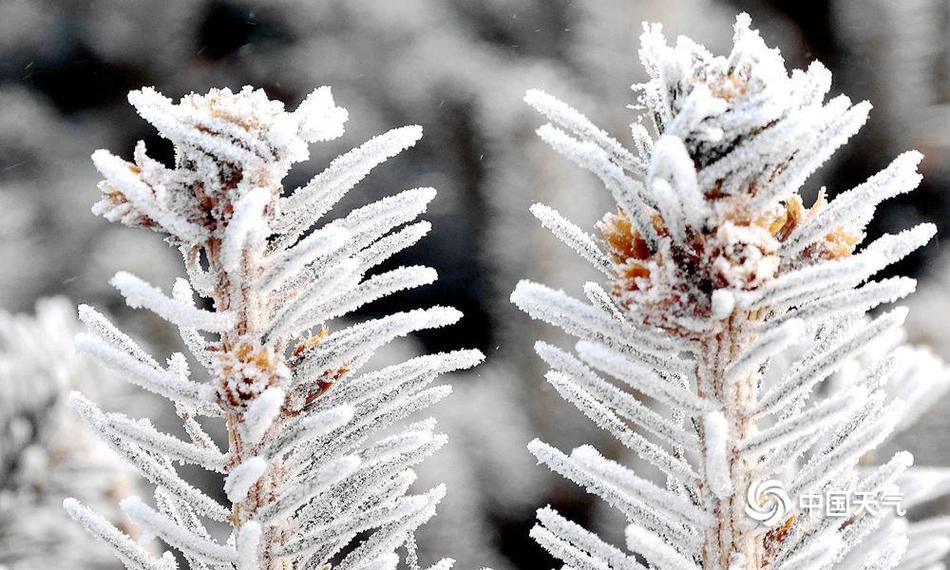 平和精英承攬電影院！攜手萬達(dá)電影、時光網(wǎng)引爆黃金周觀影驚喜