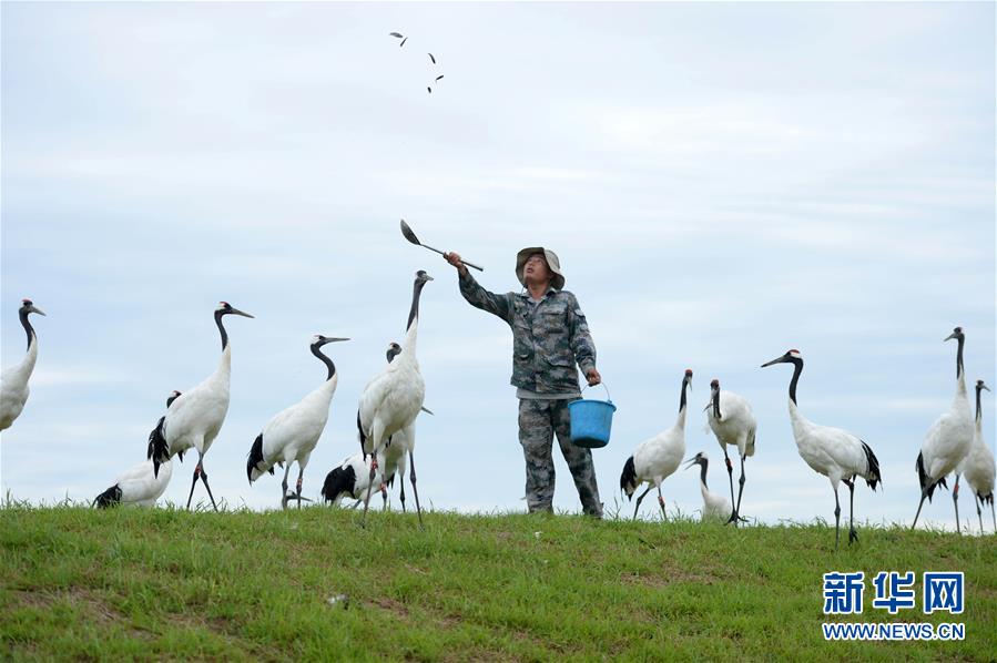 手機(jī)不氪金手游引薦 布衣玩的游戲福利多