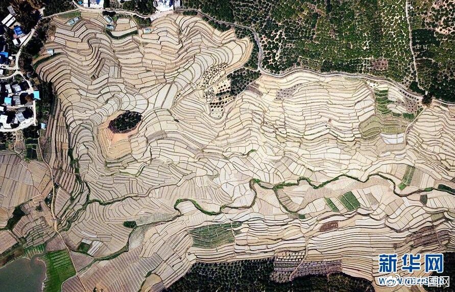 微軟曝ERP研制路線圖 擬定研制五項(xiàng)基本原則