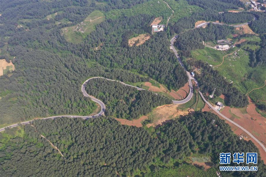 2023年全國體操錦標(biāo)賽女子團(tuán)體決賽：廣東隊蟬聯(lián)冠軍