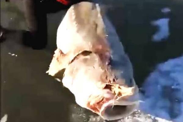 電腦在哪些地方露出你的隱私