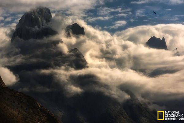 《崩壞：星穹鐵道》馭空人物前瞻 狐貍姐姐來了