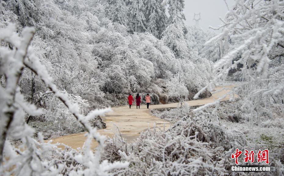 怎么防備歹意網(wǎng)站哄人手段
