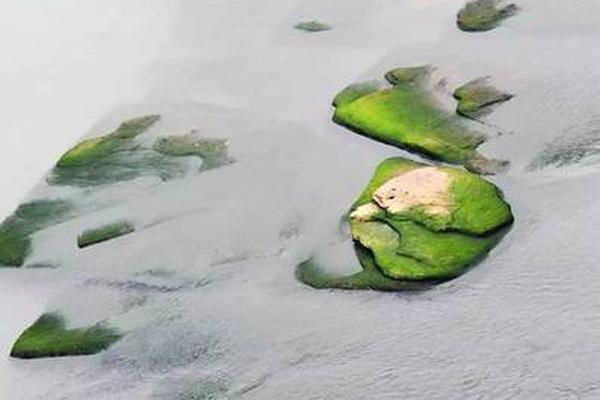 當(dāng)獨(dú)行俠限制對手得分不足100分時(shí) 已經(jīng)取得12連勝