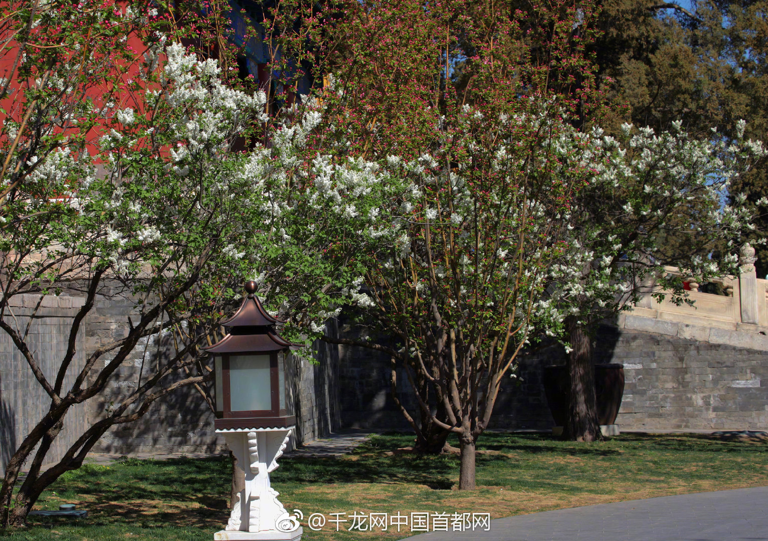 可怕！籃網(wǎng)三巨子在首輪聯(lián)袂出戰(zhàn)130分鐘 期間凈勝66分