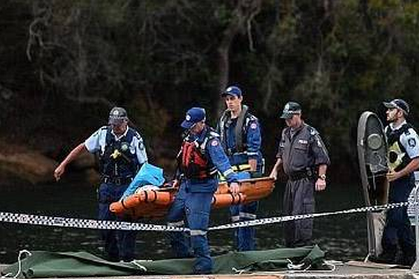 MSN Messenger 6.1.0203 放出