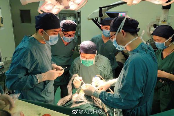 國(guó)產(chǎn)原創(chuàng)積木品牌未及 Wekki 初次露臉 2023 CJTS 潮流藝術(shù)玩具展