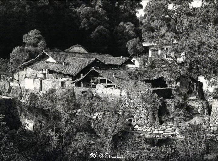 《數(shù)據(jù)王》——為國產(chǎn)軟件添光榮！