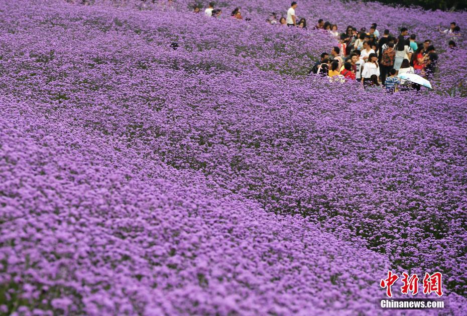 微信表情包到達(dá)上限怎樣保存新的 微信表情包到達(dá)上限了怎樣辦