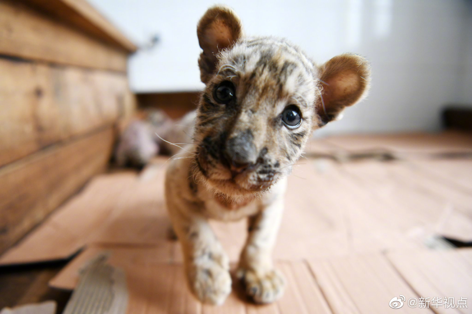 八則Word XP的自定義使用進(jìn)步工作效率