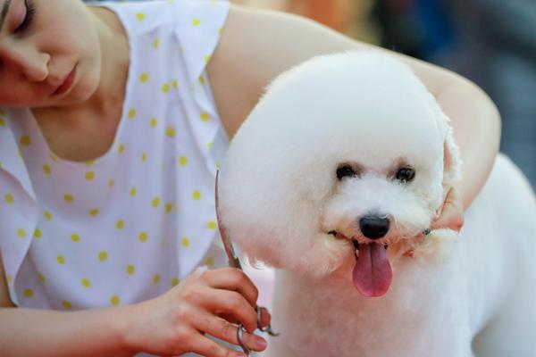 ironSource LevelPlay 聚合渠道宣告與全球聞名游戲發(fā)行商 Tilting Point 協(xié)作晉級