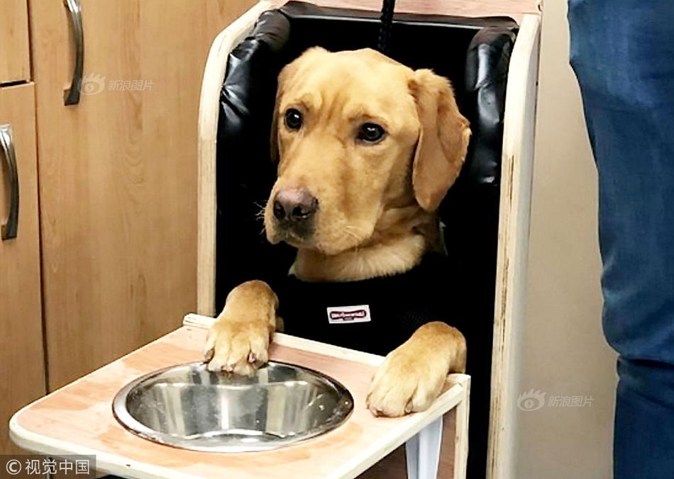 庫洛自研游戲社區(qū)，戰(zhàn)雙鳴潮玩家聚集地！庫街區(qū)APP下載注冊詳解