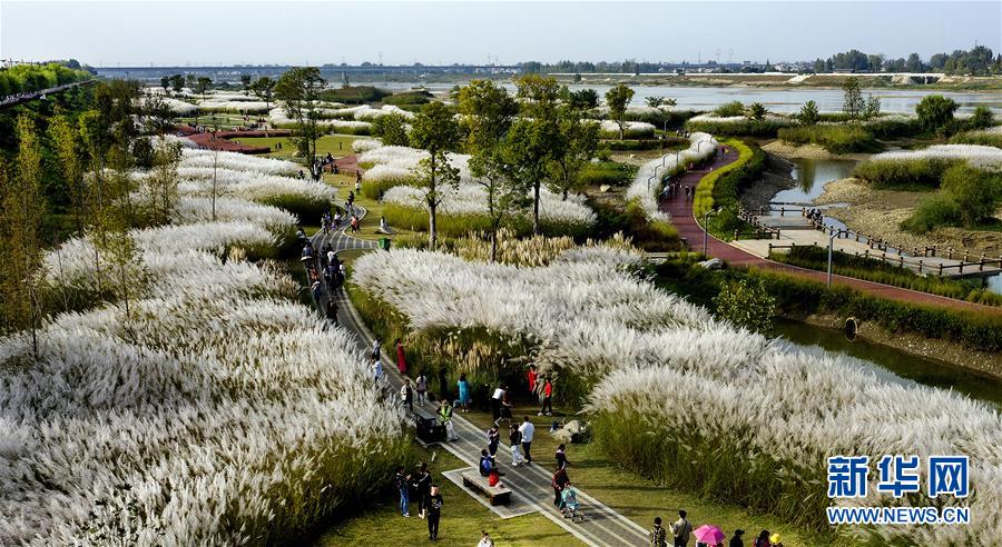 培養(yǎng)俠客更輕松 《古龍群俠傳2》重生系統(tǒng)曝光