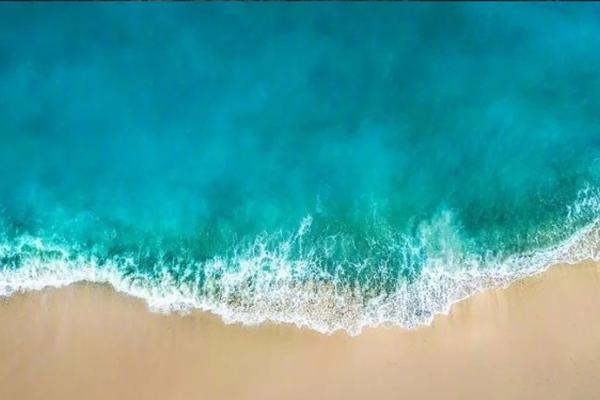 怎樣設(shè)置迅雷為默許下載器