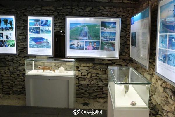 國(guó)內(nèi)市場(chǎng)“內(nèi)卷”震游走出去成為打破僵局的新挑選