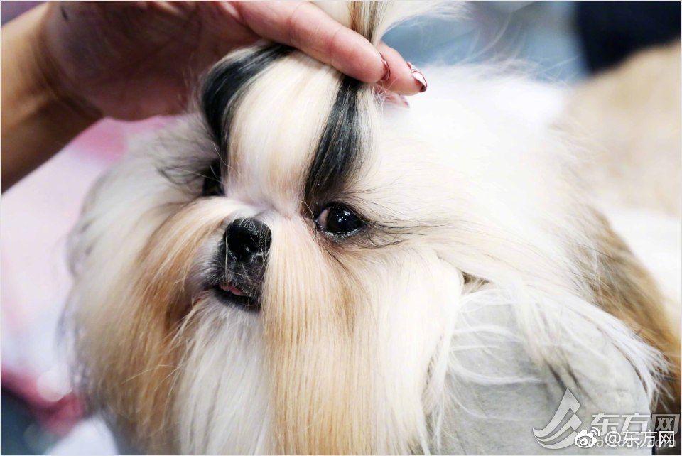 教你讓你的Vista更安全