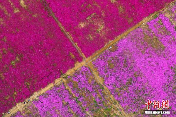 巴雷特：巴特勒打球非常聰明