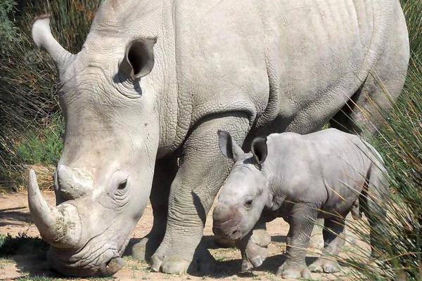 “天宮課堂”第四課將于9月21日開(kāi)課