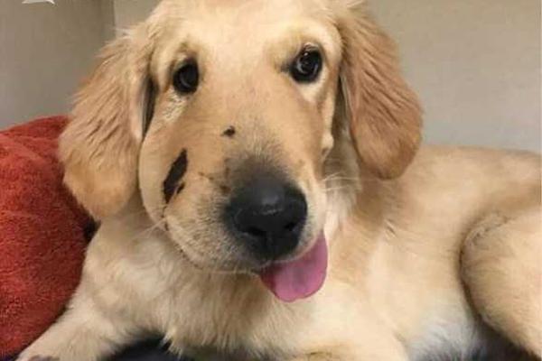 人保財(cái)險(xiǎn)北京市分公司組織職工開展愛心編織公益活動(dòng)