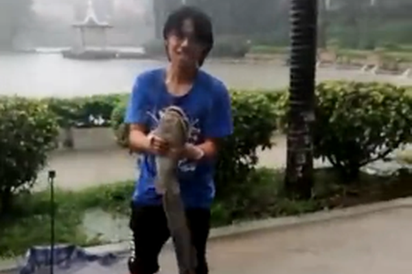 陰陽師孔雀明王值得培養(yǎng)嗎 孔雀明王培養(yǎng)攻略教學(xué)