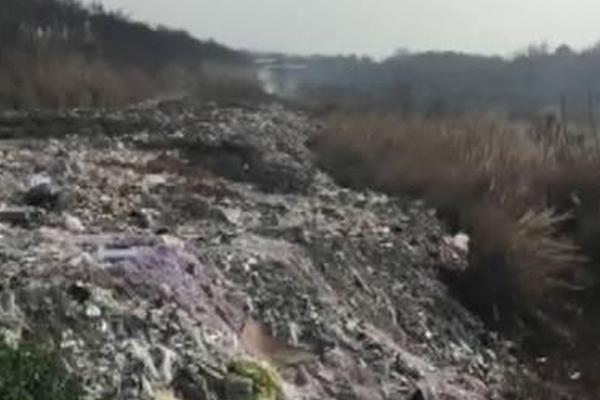 《原始傳奇》三周年新版本大猜測，參加論題贏珍稀道具獎賞！