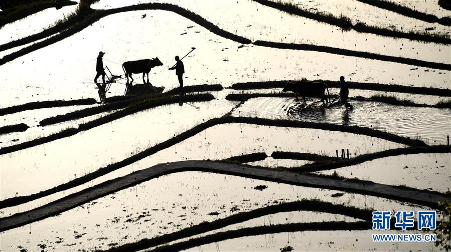 2003年計(jì)算機(jī)病毒的四個(gè)顯著特點(diǎn)及防護(hù)辦法